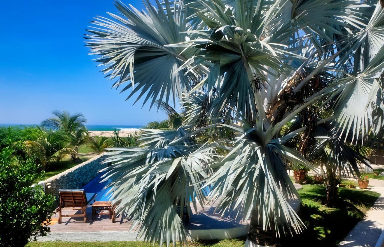 Casapiedra Apart otel Puerto Escondido  Dış mekan fotoğraf